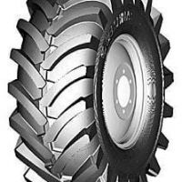 Шины Белшина ИЯВ-79