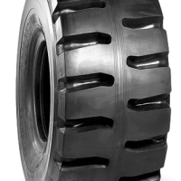 Шины Everest W-6 L-5