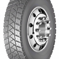 Грузовые шины Double Star DSRD22