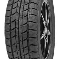 Шины Delinte Winter WD2