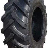 Шины Everest TIMP R-1