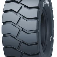 Шины Tianli FL01