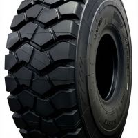 Шины XCMG XG913 E-3/L-3